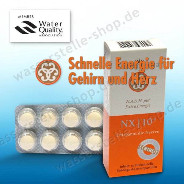 Coenzym 1 NADH - NX|10